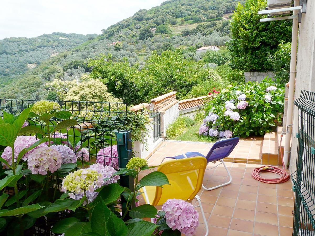 Апартаменты Casa Nepita Sur Vue Grandiose Santa-Lucia-di-Tallano Экстерьер фото